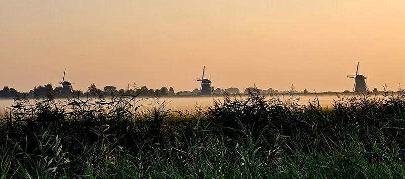 Beeld bij Smuggler’s Logboek #10: Op zoek naar een nieuwe schuilplaats.